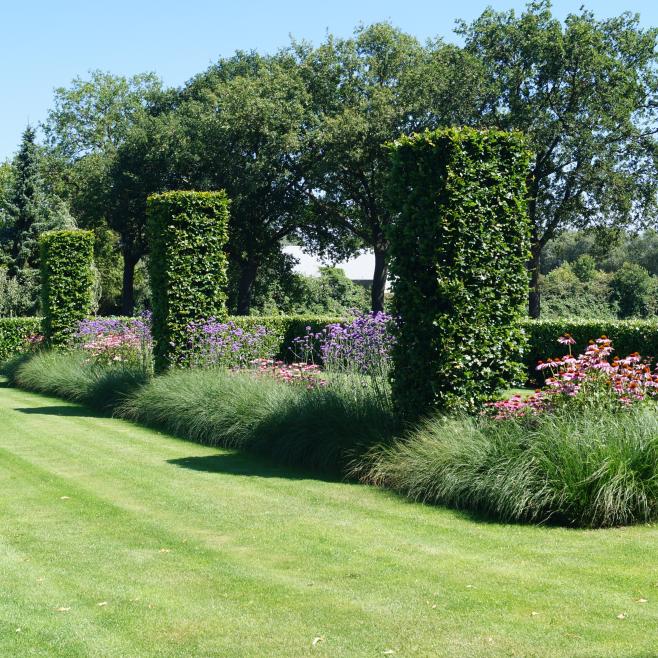 Strakke tuin met siergrassen